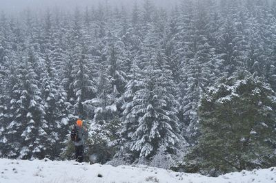 Person walking on snow covered land