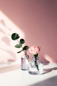 Summer and spring picture with sprig of eucalyptus and a one rose in a vases.