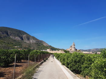 Empty road along plants and mountains against clear blue sky