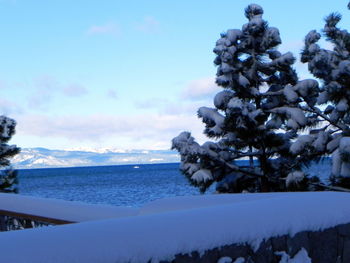 Snow covered trees against sky