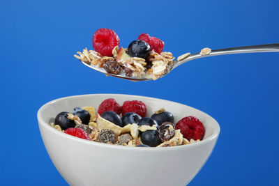 Close-up of fruits in bowl