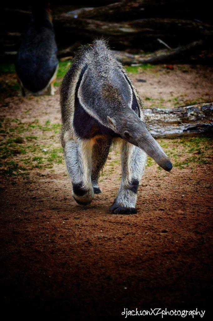 Blackpoolzoo