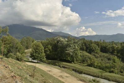 Scenic view of trees and mountains against sky