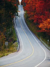 Country road amidst trees during autumn