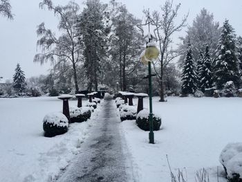Snow covered landscape and trees against sky