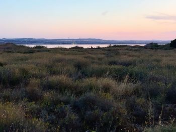 Scenic view of land against sky during sunset
