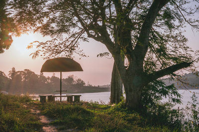 Trees on landscape against sky