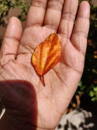 Close-up of hand holding autumn leaves