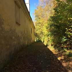 Walkway amidst trees during autumn