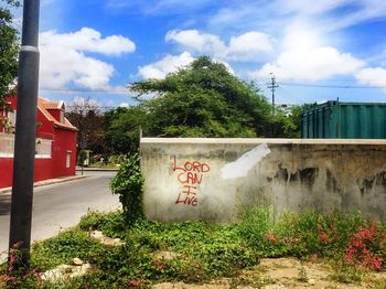 Text on surrounding wall by plants against sky