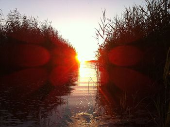 Reflection of trees in water at sunset