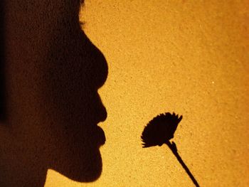 Close-up of silhouette lizard