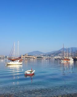 Sailboats sailing in river against clear blue sky