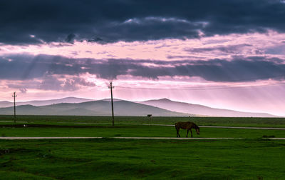 Scenic view of grassy field against cloudy sky