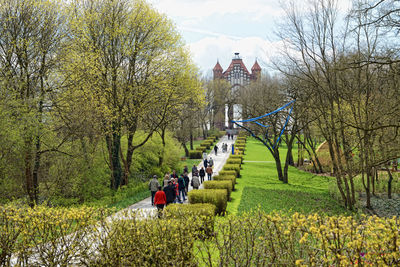 Rear view of people walking in park