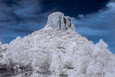 Snow covered trees against sky