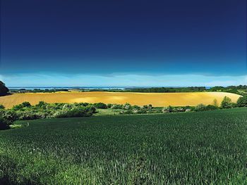Scenic view of field against sky