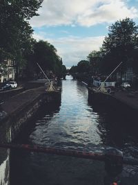 River amidst trees in city against sky