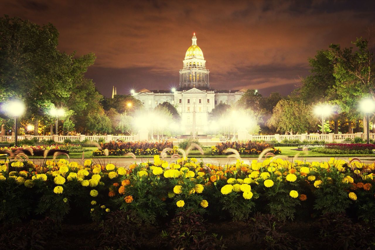 illuminated, flower, sky, night, lighting equipment, built structure, growth, plant, building exterior, architecture, yellow, cloud - sky, nature, outdoors, tree, beauty in nature, no people, place of worship, street light, religion