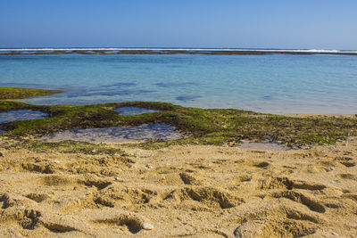 Scenic view of beach against clear sky