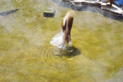 Water splashing in water