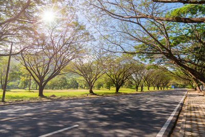 Road amidst bare trees against sky