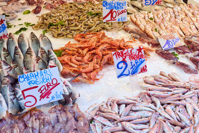Various fish for sale at market stall