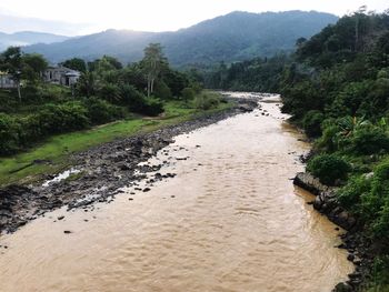 Scenic view of river amidst trees against sky