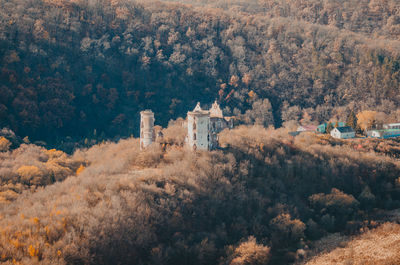 Ancient ruined castle in woods. mystical building. impassable thickets of shrubs.