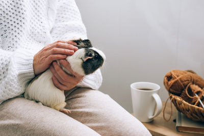 Midsection of woman with dog sitting on sofa at home