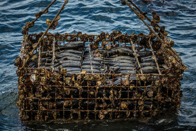 High angle view of wooden post in sea