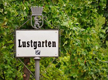 Close-up of road sign against plants