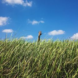 Scenic view of field against cloudy sky