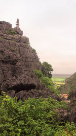 Plants on cliff against clear sky