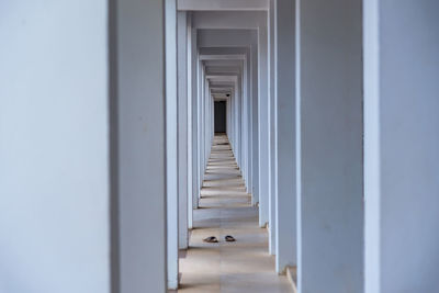 Corridor of building