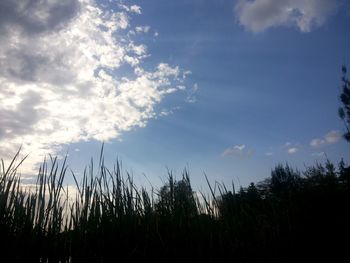 Scenic view of landscape against cloudy sky