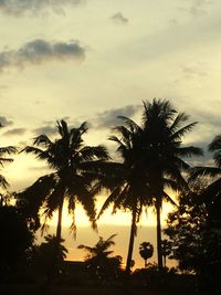 Low angle view of silhouette palm trees against sky