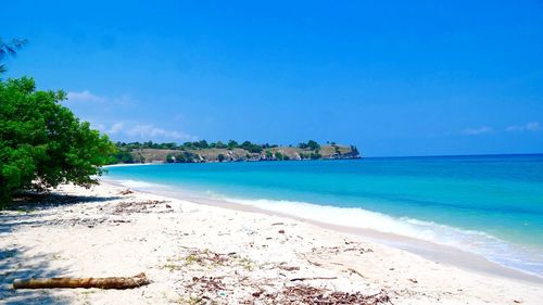 Scenic view of beach against blue sky