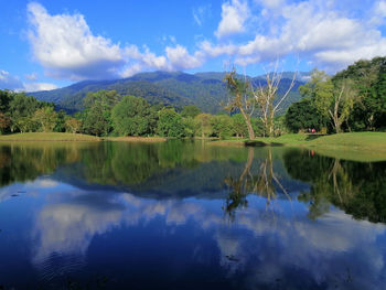 Scenic view of lake by trees against sky