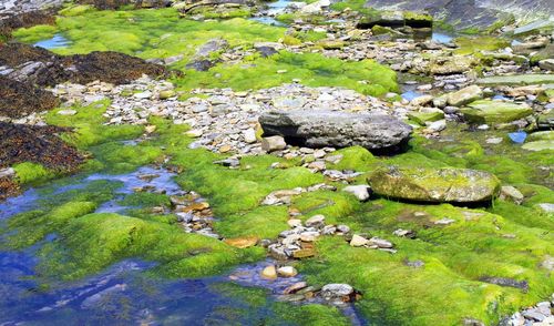 Scenic view of river amidst rocks