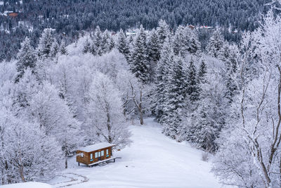 Snow covered landscape