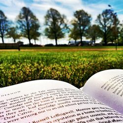 Trees on grassy field