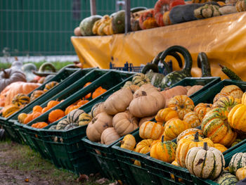 Pumpkins for sale at market stall