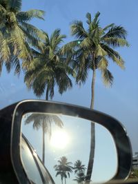 Low angle view of coconut palm trees against sky