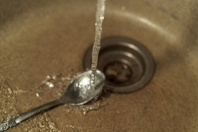 Close-up of snail on metal