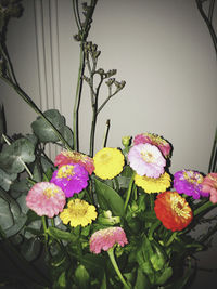 Close-up of multi colored flowers