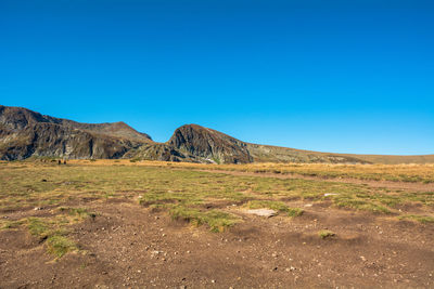 Scenic view of field against clear blue sky