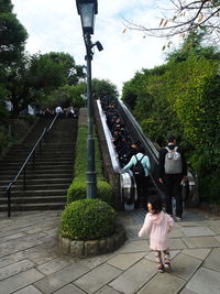 Woman standing on steps amidst plants in park