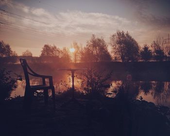 Sun shining through trees