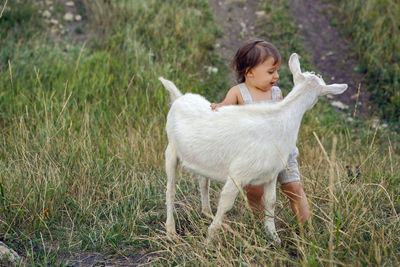 Baby boy playing in the field with a small goat